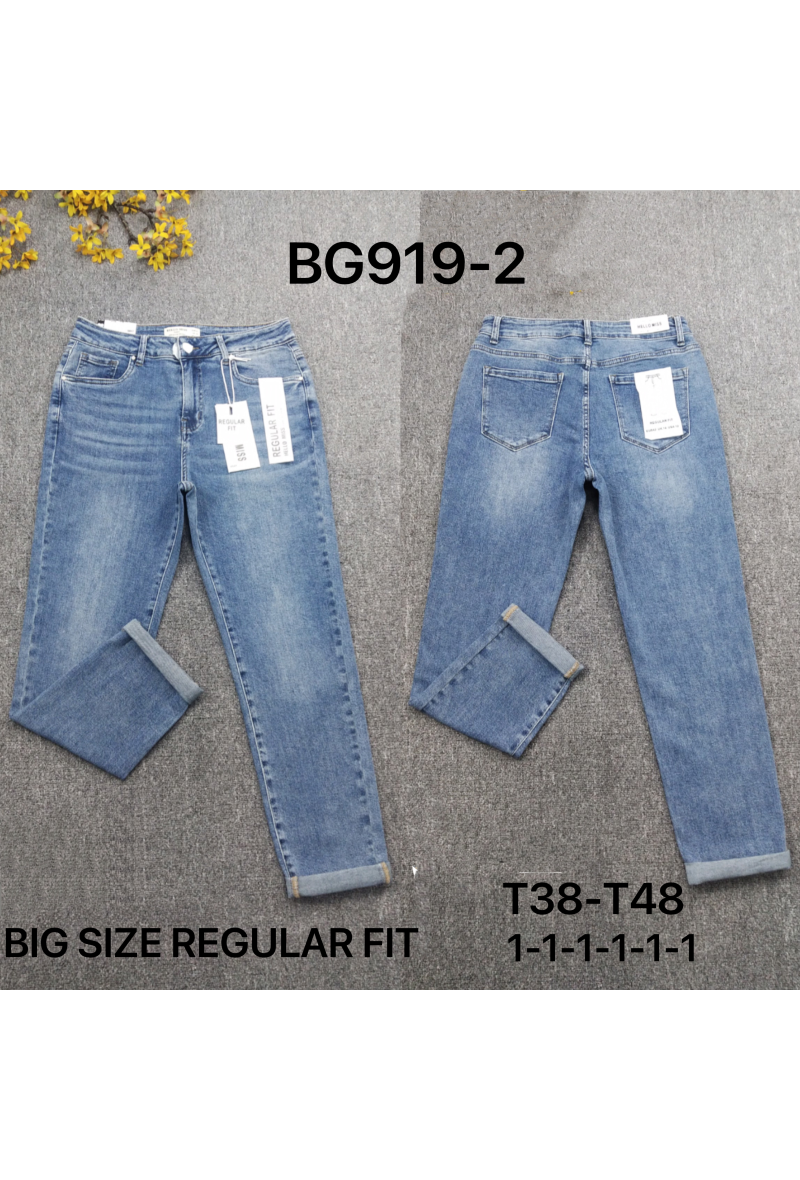 Regular fit jeans grande taille